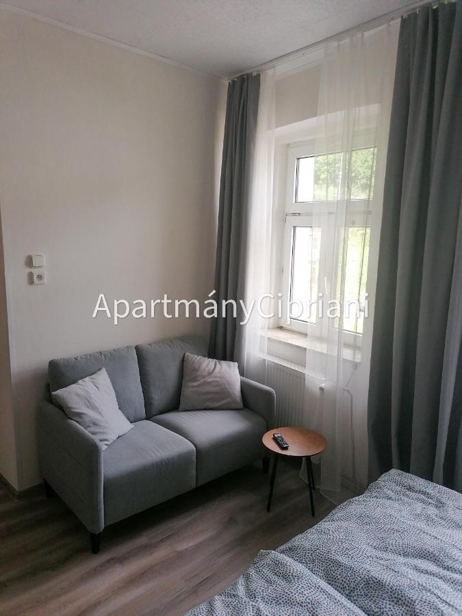 Apartmany Cipriani Jáchymov Exterior photo